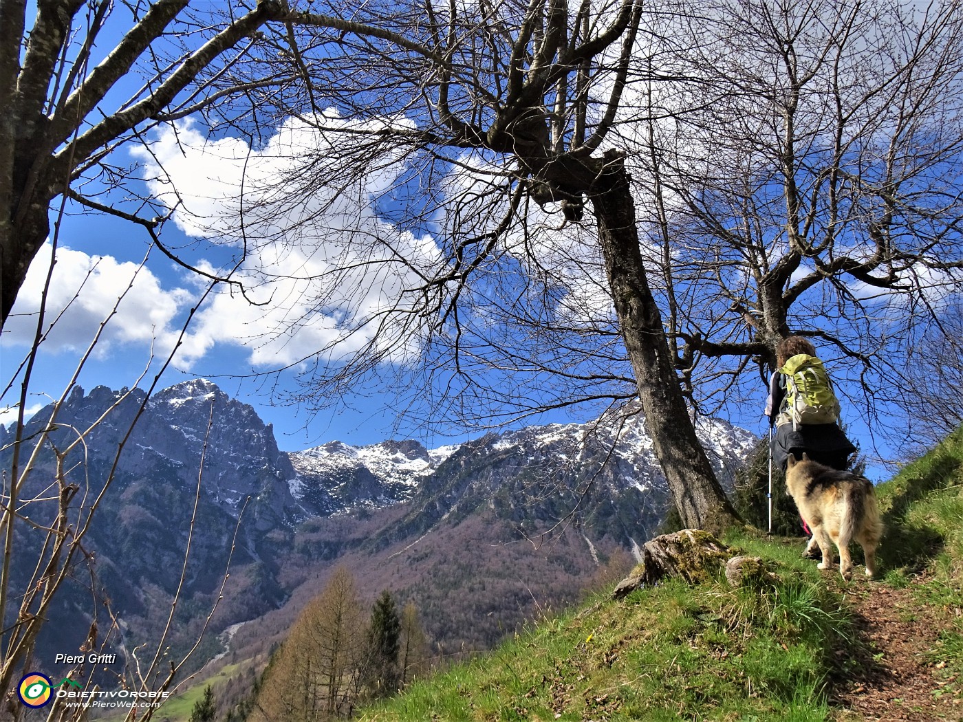 18 Dal bosco si aprono ogni tanto belle finestre panoramiche verso i monti Cornetta e Corna Grande.JPG